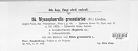 Mycosphaerella grossulariae image